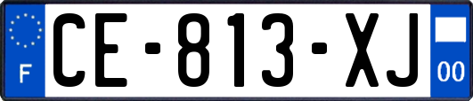 CE-813-XJ