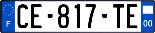 CE-817-TE