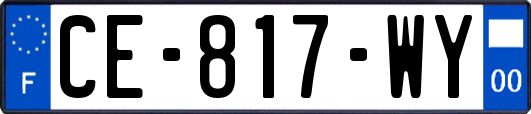 CE-817-WY