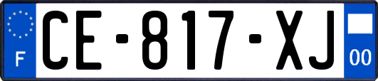 CE-817-XJ