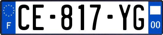 CE-817-YG
