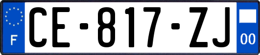 CE-817-ZJ