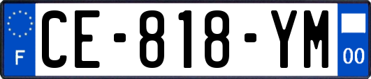 CE-818-YM