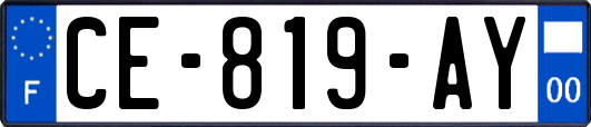 CE-819-AY