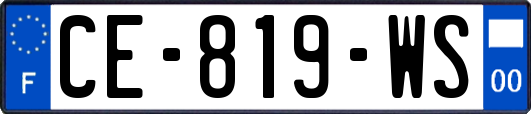 CE-819-WS