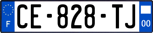 CE-828-TJ
