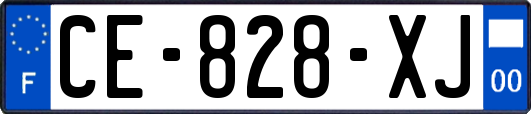 CE-828-XJ