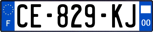 CE-829-KJ