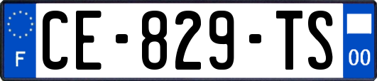 CE-829-TS