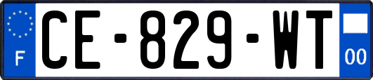 CE-829-WT