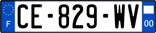 CE-829-WV