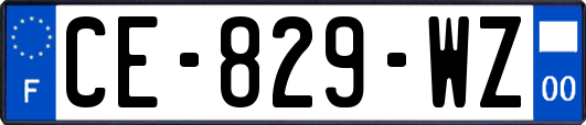 CE-829-WZ