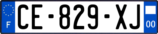 CE-829-XJ