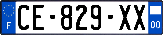 CE-829-XX