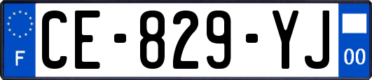 CE-829-YJ