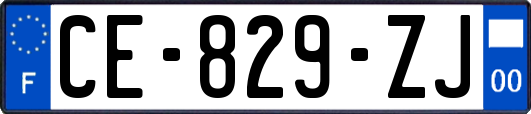 CE-829-ZJ