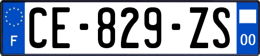 CE-829-ZS