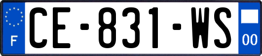 CE-831-WS