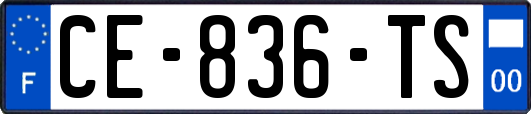 CE-836-TS