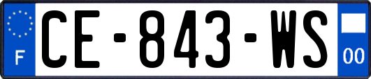 CE-843-WS