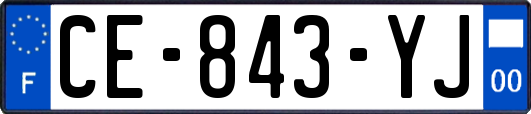 CE-843-YJ