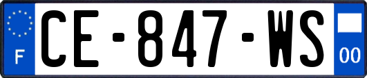 CE-847-WS