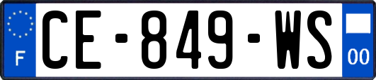 CE-849-WS