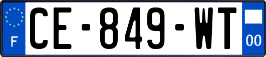CE-849-WT