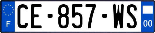 CE-857-WS