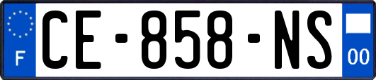 CE-858-NS