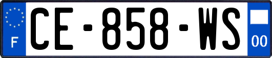 CE-858-WS