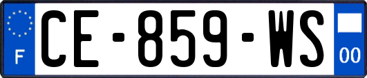 CE-859-WS