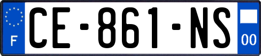 CE-861-NS