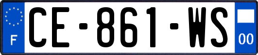 CE-861-WS