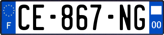 CE-867-NG