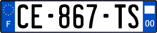 CE-867-TS