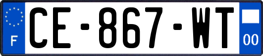 CE-867-WT