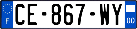 CE-867-WY