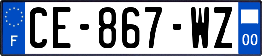 CE-867-WZ