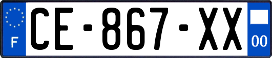 CE-867-XX