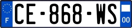 CE-868-WS