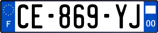 CE-869-YJ
