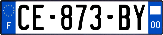 CE-873-BY