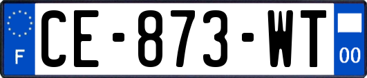 CE-873-WT