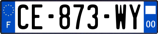 CE-873-WY