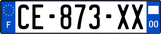 CE-873-XX