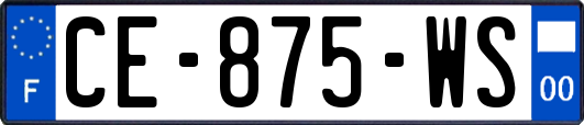 CE-875-WS