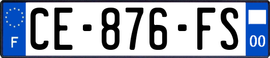 CE-876-FS