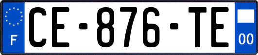 CE-876-TE