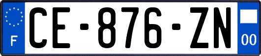 CE-876-ZN